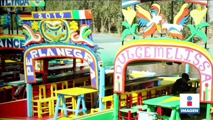 Lanzan campaña para adoptar axolotes y así salvar a la especie