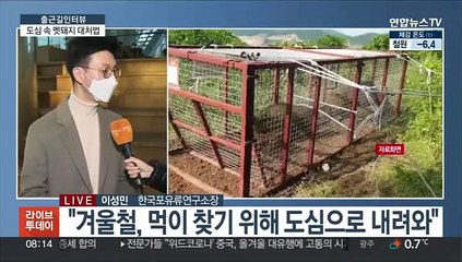 [출근길 인터뷰] 멧돼지 만났을 때 우산 펴지 말고 이렇게!