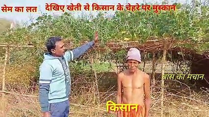 सेम की खेती। सेम की खेती से होने वाले किसानों को फायदे।