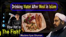 Drinking Water After Meal Effects