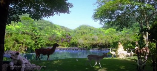 Assistir Jesus 06/12/2022 Episódio 1 Completo Estreia