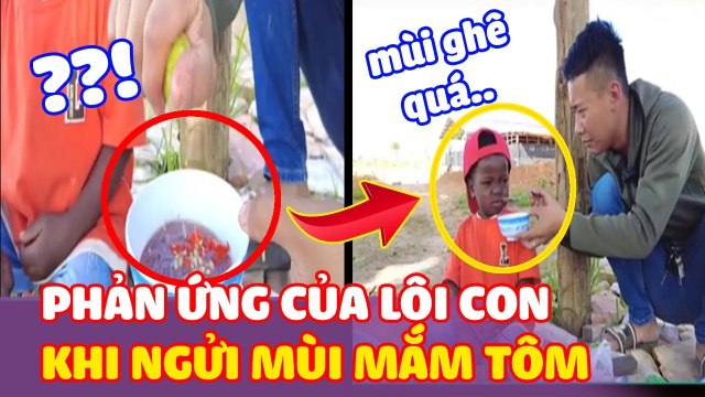 Biểu cảm Khó Đỡ của Lôi Con khi Lần Đầu biết đến mùi MẮM TÔM - Tinh hoa ẩm thực Việt Nam