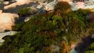 Chill Cliff Dive Drone View over the Ocean Southern Sydney NSW Australia Travel Adventures.