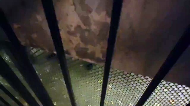 Une vingtaine de personnes masquées et armées de barres de fer ont tenté de perturber la conférence de Louis Boyard au sein l’Université Bordeaux-Montaigne