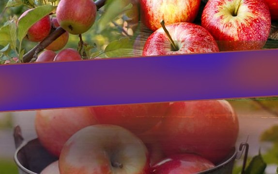 Health Tips రోజూ యాపిల్ పండ్లను తింటే ఎన్ని లాభాలో మీకు తెలుసా..? *Health | Telugu OneIndia
