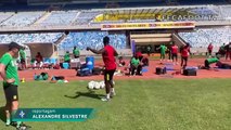 Conexão Brasil-Catar Conheça Camarões, terceiro desafio da Seleção na Copa