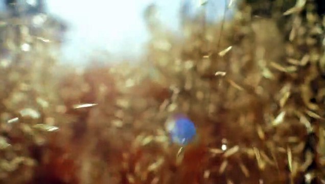 Mr. Jones Bande-annonce (DE)