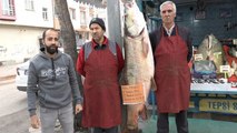 Elazığlı balıkçı 128 kilogram ağırlığında turna balığı yakaladı
