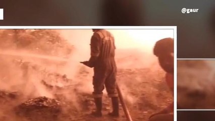 बिग ब्रेकिंग गाजियाबाद: "आग का तांडव" डेयरी संचालक समेत 9 की दर्दनाक मौत