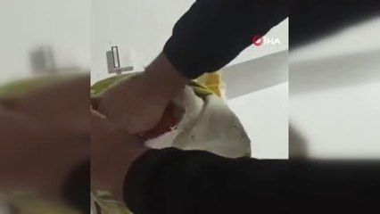 Elektronik sigaraları yastığın içine saklayarak kaçırmaya çalışırken yakalandılar