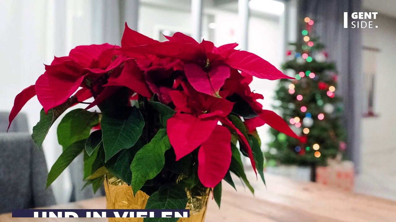 Weihnachten