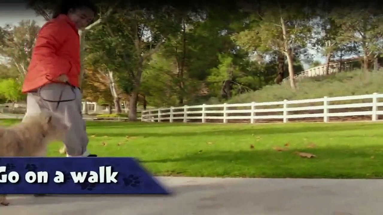 Ein Hundeleben mit Bill Farmer Staffel 1 Folge 1 HD Deutsch