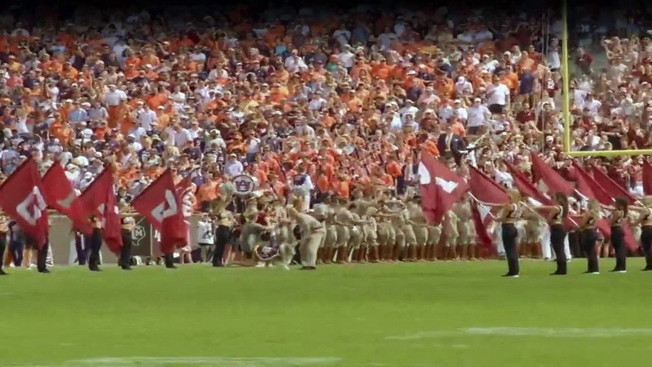 Ein Hundeleben mit Bill Farmer Staffel 1 Folge 3 HD Deutsch