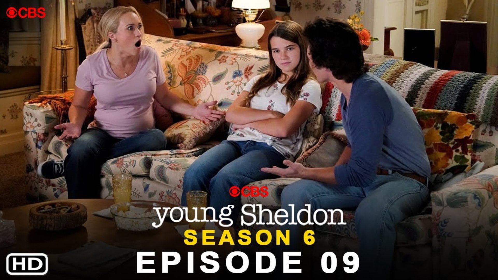 Big bang theory season 6 episode hotsell 3 dailymotion