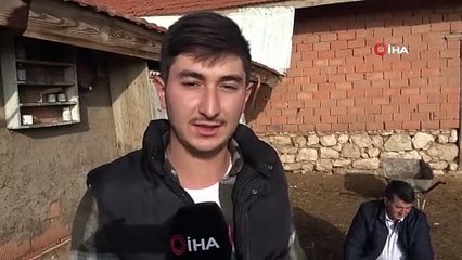 Plastik borular ve tekerler kuzuya yürüteç oldu