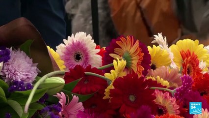 Australians angered by release of Bali 2002 attack bombmaker