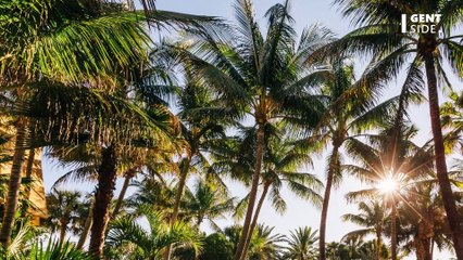 Neuer Fund bei Donald Trump: Weitere Regierungsdokumente beschlagnahmt