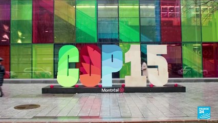 COP15: High-stakes UN biodiversity talks open in Montreal