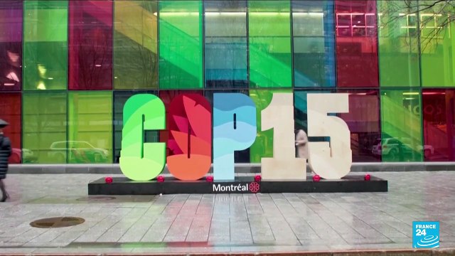 COP15: High-stakes UN biodiversity talks open in Montreal