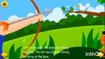 Enimeshen mazy ki video