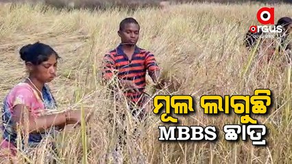 Скачать видео: Odisha MBBS Student Works In Farmland To Fund His Study, Seeks Financial Help