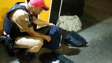 Casal é preso com mais de 14Kg de maconha em ônibus