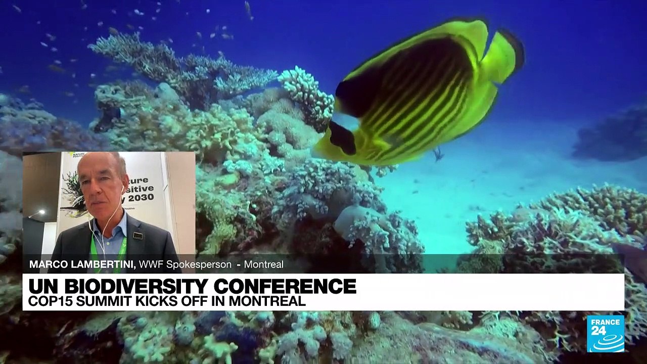 'Half of the forests and coral reefs are gone, 80% of wetlands, 1m species on the threat of extinction'