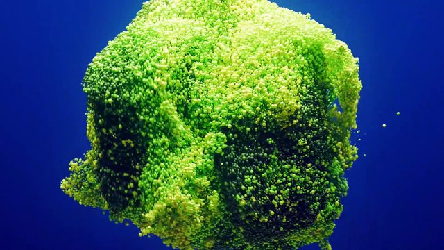 5 raisons de suivre la formation «Resistance to antibacterial agents»