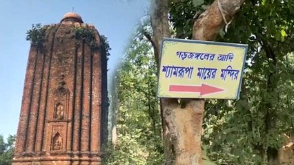 দূষণ রুখতে, বন্যপ্রাণীদের সুরক্ষিত রাখতে জঙ্গলে পিকনিকে নিষেধাজ্ঞা জারি বনদপ্তরের