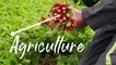 Cette semaine le magazine Voyons Voir s'intéresse à la marque Ma Région Ses Terroirs crée par la Région Auvergne Rhône-Alpes et les représentants du monde agricole et agro-alimentaire.