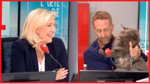 Marine Le Pen hilare : Philippe Caverivière débarque avec… son chat en direct !