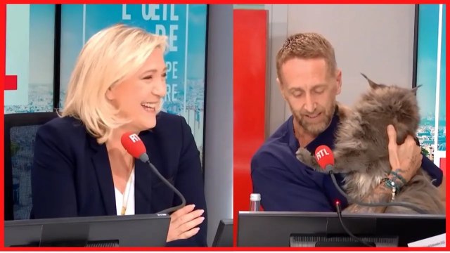 Marine Le Pen hilare : Philippe Caverivière débarque avec… son chat en direct !