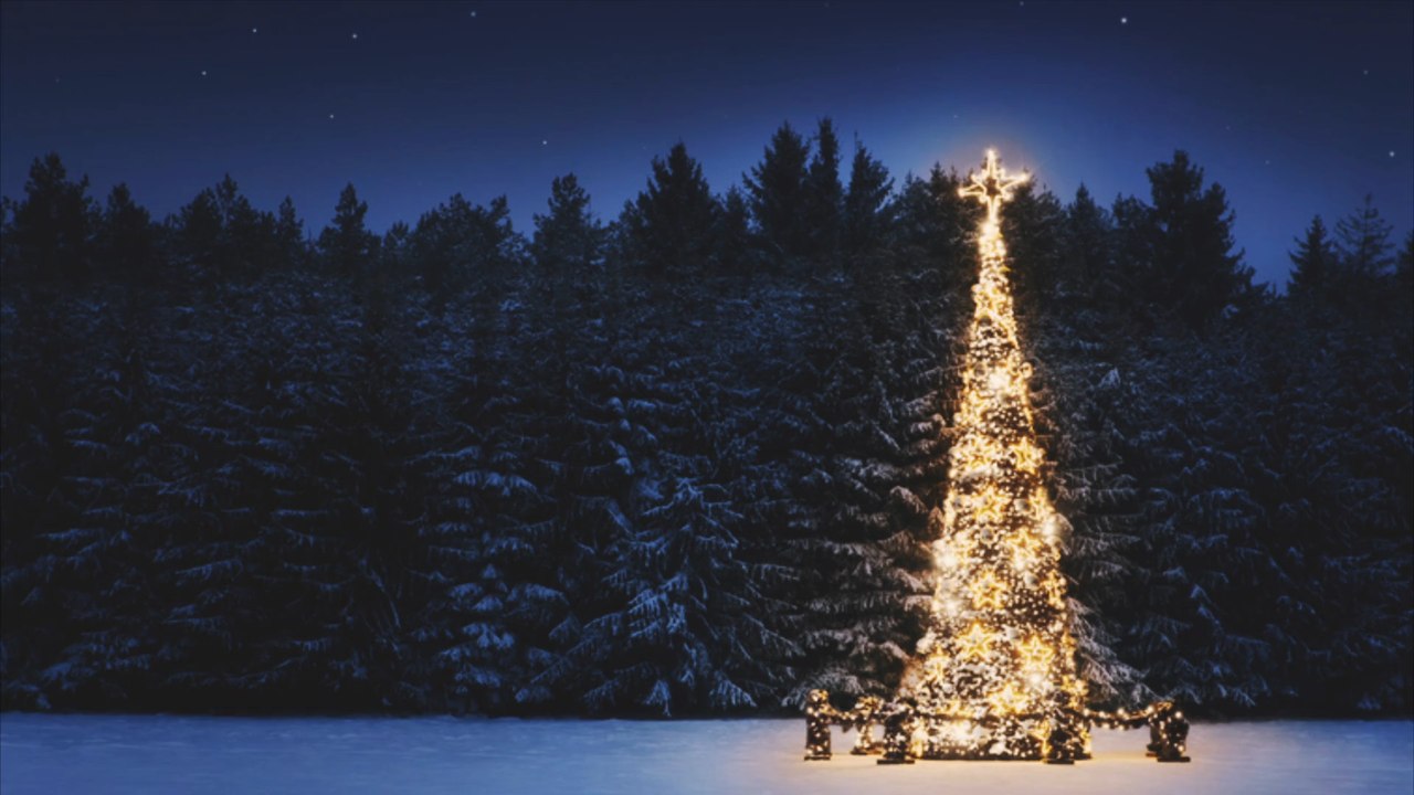 So entstand der Brauch mit dem Weihnachtsbaum