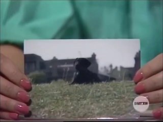 Press Your Luck Ep 453