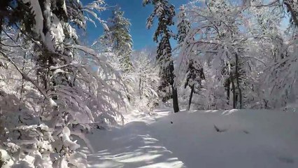 19 7 Liqenet e Lures