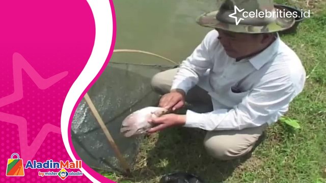 Pria di Banyumas Keliling Kampung Obati Ikan Sakit Hingga Dijuluki Dokter Ikan