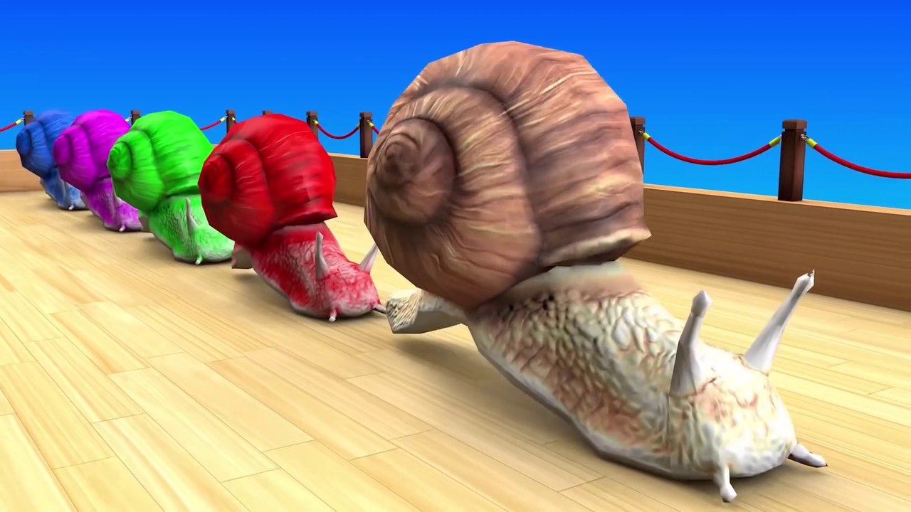 Impara i Colori con animali filastrocche canzoni per bambini