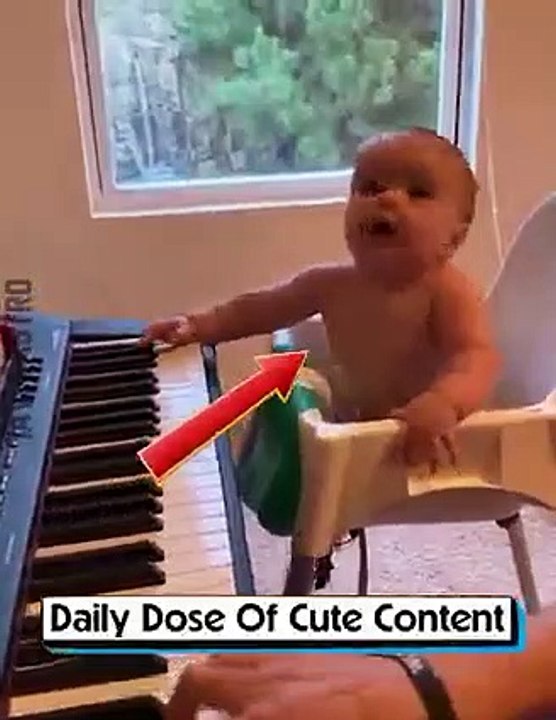 funny videos compilation 6