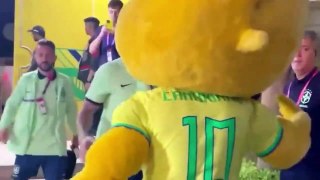 Cameron vs Brazil - Highlights - Football World Cup