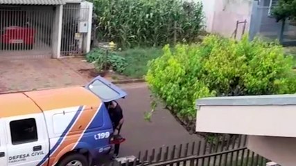 Enxame de abelhas é retirado de telhado no Bairro Santa Cruz