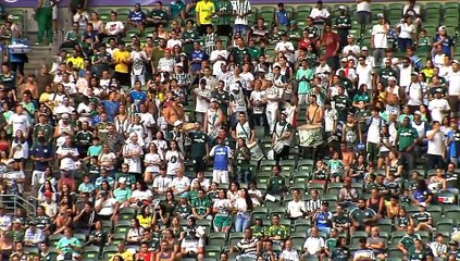Imagens do treino do Palmeiras no Allianz Parque