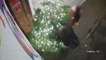 Real-life ‘Grinch’ tumbles to ground after karate kicking Christmas tree