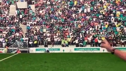 Luxemburgo convoca a torcida palmeirense