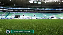 Palmeiras fará primeiro treino no Allianz Parque nesta quarta-feira