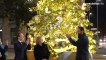 Messina, si accendono gli alberi di Natale: bellissimi a Piazza Unione Europea e a Cairoli