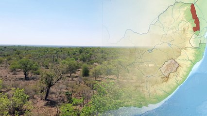 Unbelievable! Mother Elephant Saved Baby from Crocodile