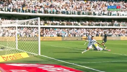 Veja os lances da vitória do Palmeiras contra o Santos