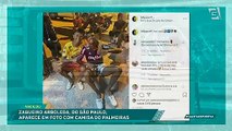 Comentaristas falam do caso Arboleda com camisa do Palmeiras