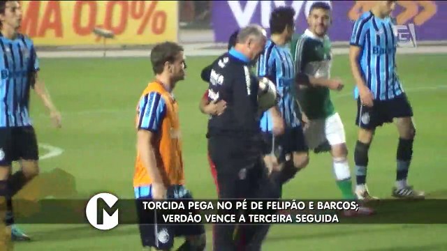 Torcida palmeirense lota Pacaembu em vitória contra o Grêmio