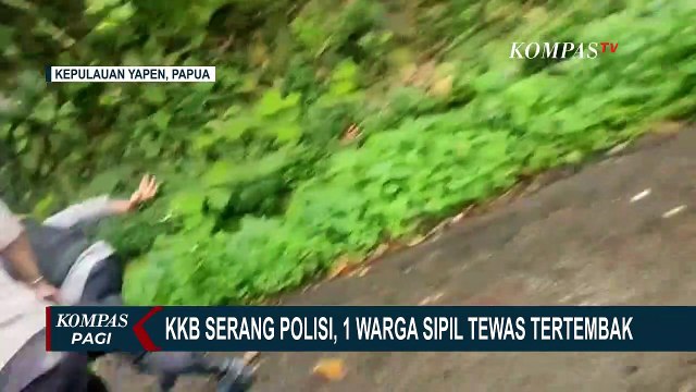 KKB Serang Rombongan Polisi di Kepulauan Yapen Papua, 1 Warga Sipil Tewas Tertembak!